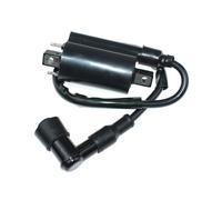 WeZcHEN Bobina di accensione Adatta for CRF450R CRF250R DN-01 NSA700A 250 VTR250 GL650 GL650I CX650T