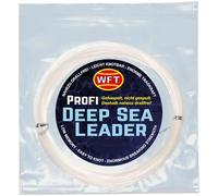 WFT KG Strong - Trecciato 1000m 0,25mm 39kg