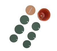 WGFOIP Set di Sottobicchieri a Forma di, Sottobicchieri per Bevande Verdi Antiscivolo, Divertenti e Carini, per la Decorazione Dell'ufficio Domestico, 7 Pezzi in EVA