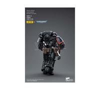 Wh40k Raven Guard Intercess Bro Colvane Action Figura Joy Toy
