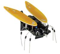 Whadda WSAK204 Elettronico Cicala