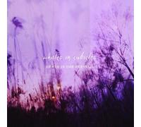 Whales in Cubicles Death in the Evening (CD) Album