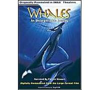 Whales - Wale/Die Giganten der Meere IMAX