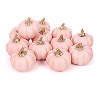Whaline Zucca artificiale vintage rosa raccolta zucca realistica zucca finta schiuma zucca per autunno autunno Halloween casa festa fornitura Ringraziamento festa casa casa decorazione cucina