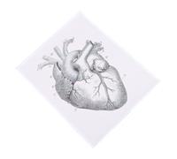 WHAMVOX Quadro Anatomico Cuore su Tessuto Sintetico, Poster Decorativo e Didattico per Studio Clinico, Soggiorno o Scuola, Strumento Pratico per Studenti e Pazienti