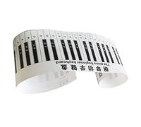 WHAMVOX Tastiera Piano Simulata Per Principianti Adesivi Per Pratica Musicale Materiale Guida Didattica Per Studenti Adatta Per Insegnanti e