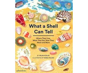 What a shell can tell. Where they live, what they eat, how they move and more