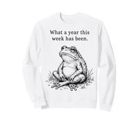 What A Year This Week Has Been Felpa