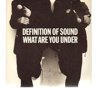 What are you under / Vinyl Maxi Single [Vinyl 12'']