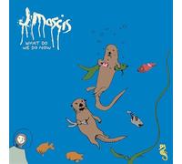What Do We Do Now - J Mascis (Audio cd)