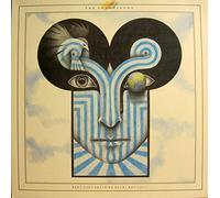 What does anything mean? basically / Vinyl record [Vinyl-LP]