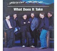 What Does It Take by Brush Arbor