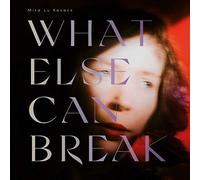 What Else Can Break