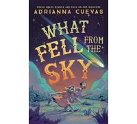 What Fell from the Sky