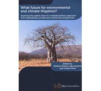 What future for environmental and climate litigation? Exploring the added value of a multidisciplinary approach from international, private and criminal law perspectives
