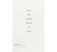 What Gets Wedged Between the Rocks A raw & unfiltered poetry collection