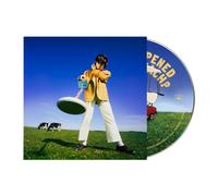 Declan McKenna – What Happened to the Beach? – CD