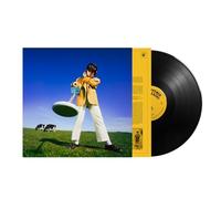 Declan McKenna What Happened to the Beach? (Vinyl LP) 12" Album