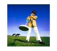 Declan McKenna What Happened to the Beach? (Vinyl LP) 12" Album