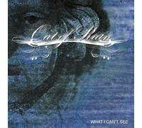 What I Can't See by Out of Ruin