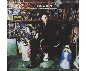 What I Did After My Band.. by Steve Wynn