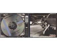 What if god fell from the sky [Single-CD]