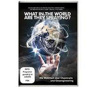 What in the world are they spraying - Die Wahrheit über Chemtrails und Geo-Engineering