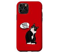 What is wrong with you? Cat Funny Humor Custodia per iPhone 11 Pro