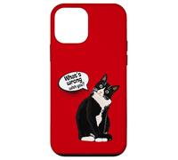 What is wrong with you? Cat Funny Humor Custodia per iPhone 12 mini