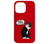 What is wrong with you? Cat Funny Humor Custodia per iPhone 14 Pro Max