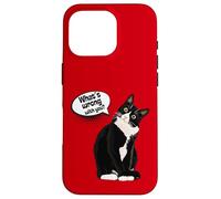 What is wrong with you? Cat Funny Humor Custodia per iPhone 16 Pro