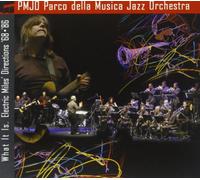 What It Is-Electric Miles'dire