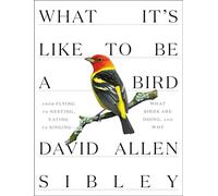 David Allen Sibley What It's Like to be a Bird (Copertina rigida)