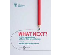 What Next? Le città metropolitane a 10 anni dalla loro istituzione