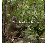 What Resides in the Forest