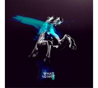 What So Not Not All the Beautiful Things (CD) Album