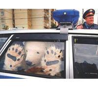 What The Mega Fuck!: What the fuck 2