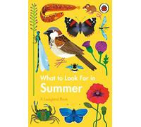 Ladybird – What to Look For in Summer