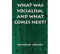 What Was Socialism, and What Comes Next? (Princeton Studies in Culture/Power/History)