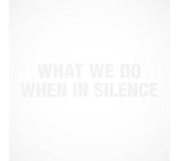 What We Do When In Silence