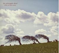 The Pineapple Thief What We Have Sown (Vinyl LP) 12" Album