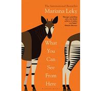 What You Can See From Here: 'A clear-eyed tonic in troubled times' (Guardian)