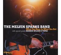 What You Hear Is What You Get by The Melvin Sparks Band (2003-04-22)