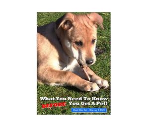 What You Need To Know BEFORE You Get A Pet - Dual Disc Set - Blu-ray & DVD