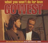 WHAT YOU WON'T DO FOR LOVE CD UK CHRYSALIS 1993