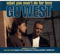 What You won't do for Love (Maxi CD) (Doppel CD)