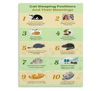 What Your Cats Sleeping Position Means Poster Pet Relaxation Decoder Guide Canvas Wall-Art for Living Room Bedroom