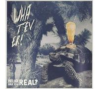 Whatever - Hello Are You Real /.