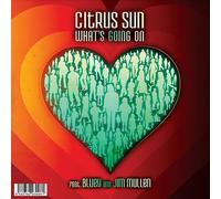 Citrus Sun What's Going On / What Color Is Love (Vinyl LP)