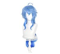 WHBHD Genshin Impact Ganyu Cosplay Lungo Blu Gradiente Capelli 75 cm Parrucca Cosplay Anime Parrucche Cosplay Resistenti al Calore Parrucche Sintetiche Resistenti al Calore Halloween